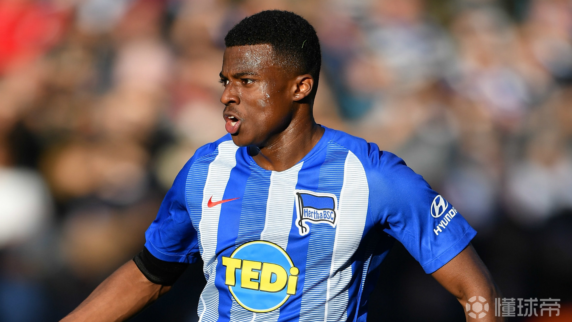 窗口期荷甲传出新动向；密尔沃基雄鹿官宣签约；管理层表态——赛场秩序良好；心理建设被强调的简单介绍